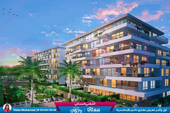 WhatsApp Image 2025-01-13 at 11.58.44_2dc8b9de