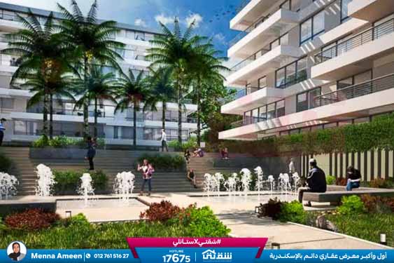 WhatsApp Image 2025-01-13 at 11.58.44_bc3f0578