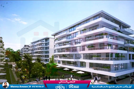 WhatsApp Image 2025-01-13 at 11.58.46_260f0fda