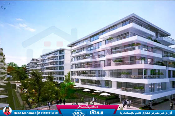 WhatsApp Image 2025-01-13 at 11.58.46_260f0fda