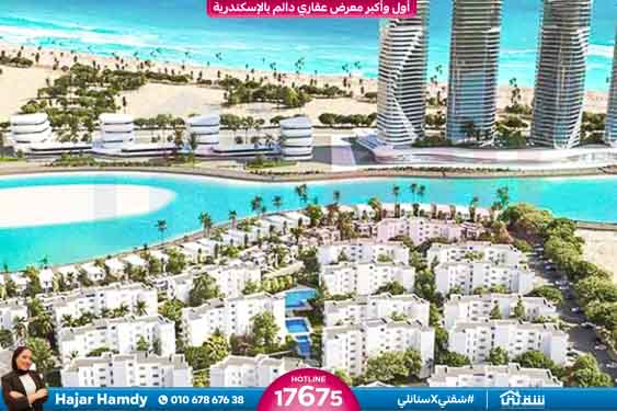 WhatsApp Image 2025-02-15 at 6.00.08 PM (2)