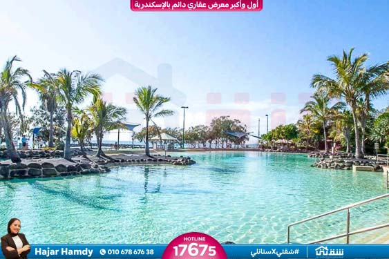 WhatsApp Image 2025-02-15 at 6.00.09 PM