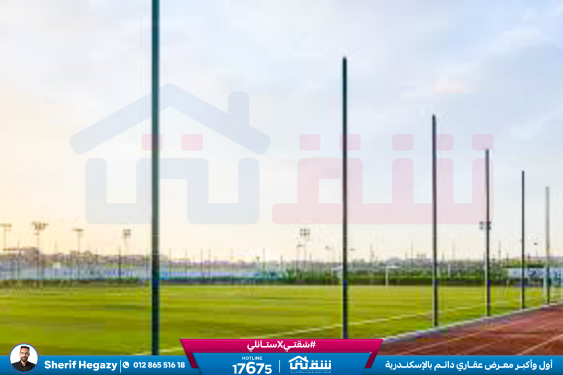 WhatsApp Image 2025-03-22 at 12.53.34 PM (1)