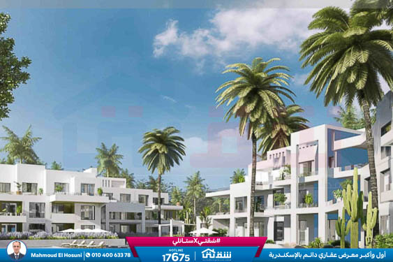 WhatsApp Image 2025-05-03 at 5.08.08 PM (2)