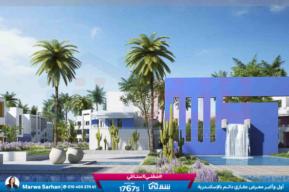 WhatsApp Image 2025-05-03 at 5.08.08 PM (3)