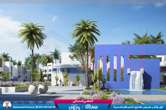 WhatsApp Image 2025-05-03 at 5.08.08 PM (3)