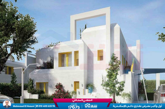 WhatsApp Image 2025-05-03 at 5.08.09 PM (1)