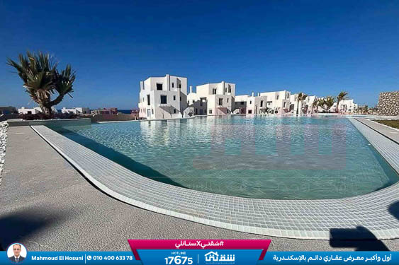 WhatsApp Image 2025-05-03 at 5.08.09 PM (2)