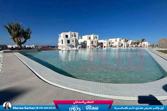 WhatsApp Image 2025-05-03 at 5.08.09 PM (2)