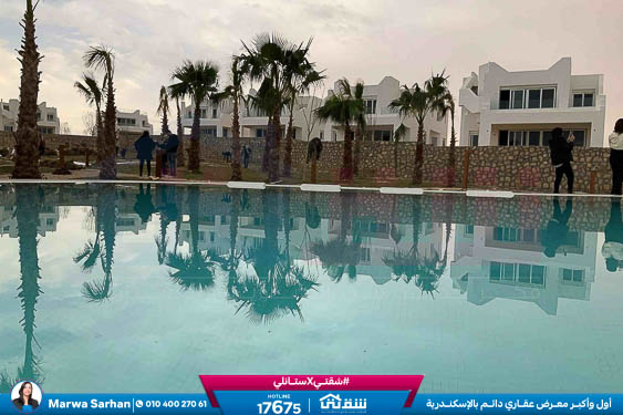 WhatsApp Image 2025-05-03 at 5.08.10 PM (3)