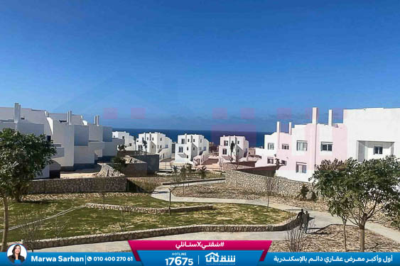 WhatsApp Image 2025-05-03 at 5.08.10 PM (4)