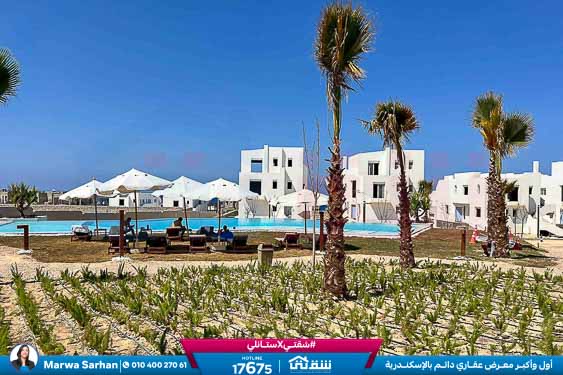 WhatsApp Image 2025-05-03 at 5.08.11 PM (4)