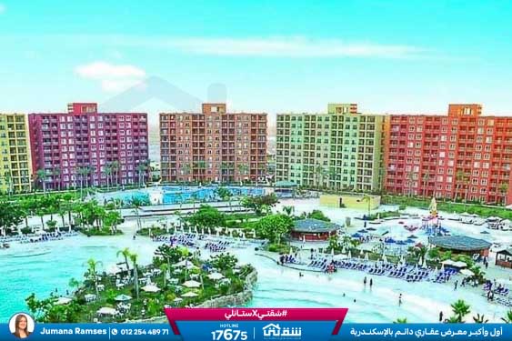 WhatsApp Image 2025-05-06 at 12.31.19 PM