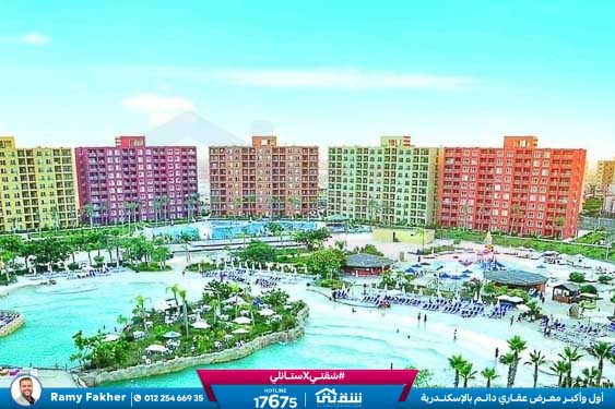 WhatsApp Image 2025-05-06 at 12.31.19 PM