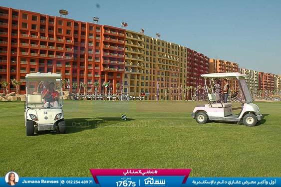 WhatsApp Image 2025-05-06 at 12.31.21 PM (1)