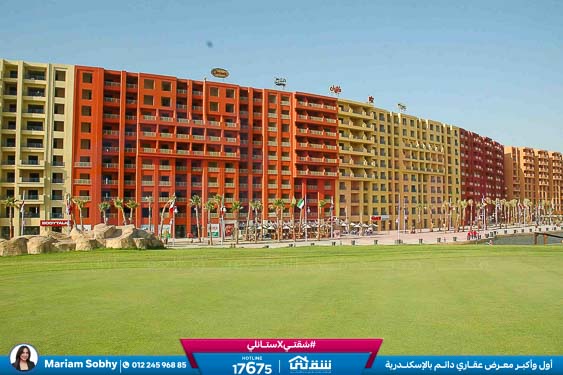 WhatsApp Image 2025-05-06 at 12.31.21 PM