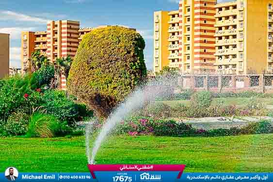 WhatsApp Image 2025-05-06 at 12.31.22 PM (1)