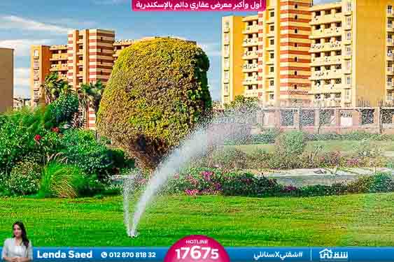 WhatsApp Image 2025-05-06 at 12.31.22 PM (1)