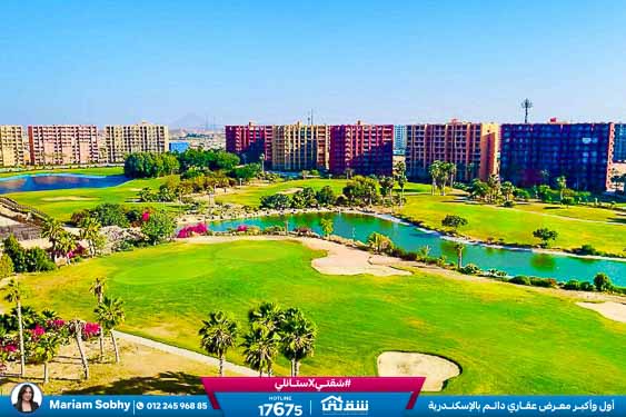 WhatsApp Image 2025-05-06 at 12.31.22 PM