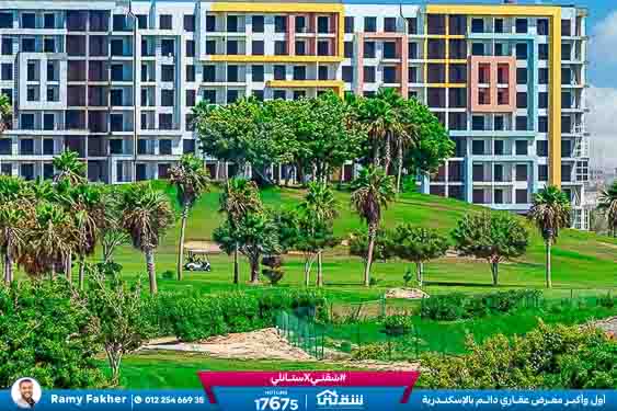 WhatsApp Image 2025-05-06 at 12.31.23 PM