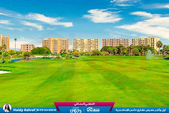 WhatsApp Image 2025-05-06 at 12.31.24 PM (1)