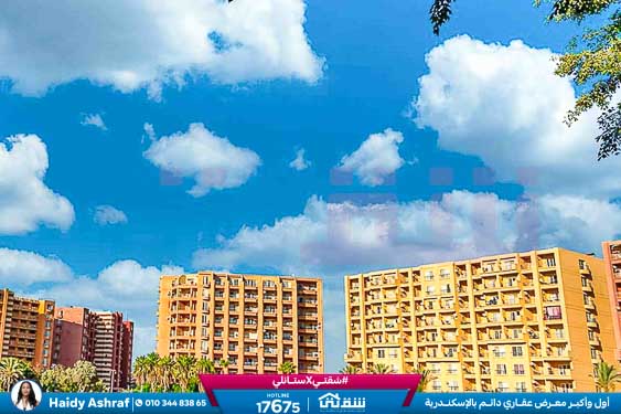 WhatsApp Image 2025-05-06 at 12.31.24 PM