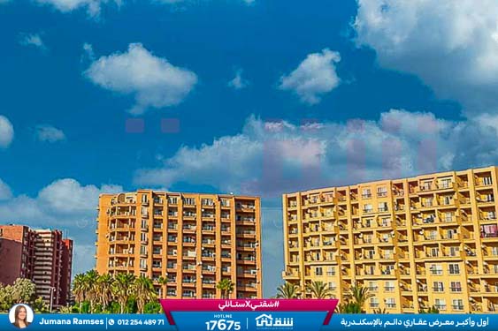 WhatsApp Image 2025-05-06 at 12.31.24 PM