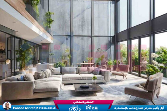 WhatsApp Image 2025-06-11 at 4.34.33 PM