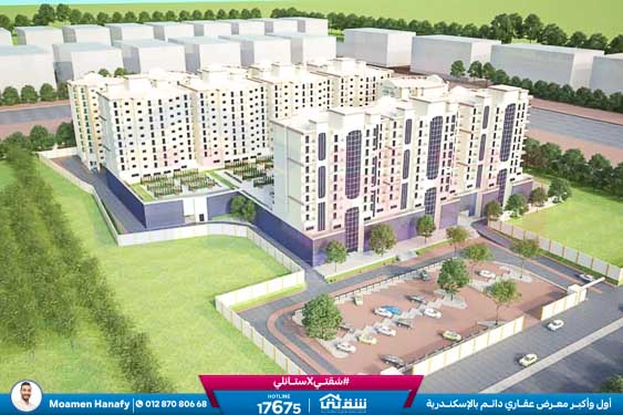 WhatsApp Image 2025-06-18 at 4.16.05 PM (1)