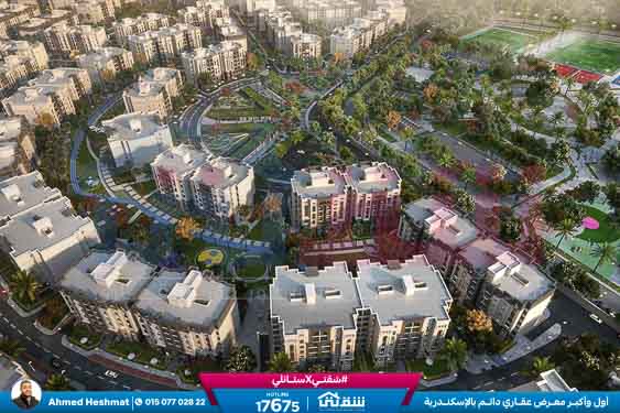 WhatsApp Image 2025-07-30 at 1.26.32 PM