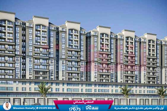 WhatsApp Image 2025-08-06 at 11.56.05 AM (1)