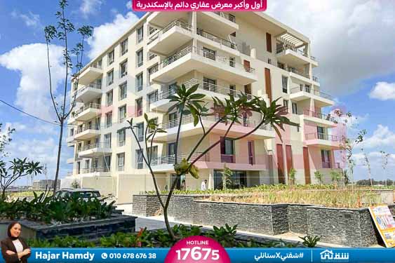 WhatsApp Image 2025-08-16 at 5.12.22 PM