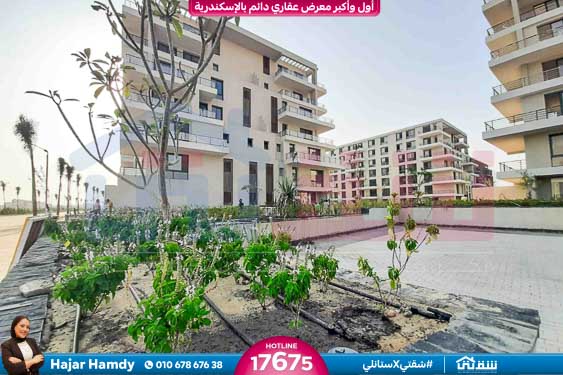 WhatsApp Image 2025-08-16 at 5.14.54 PM