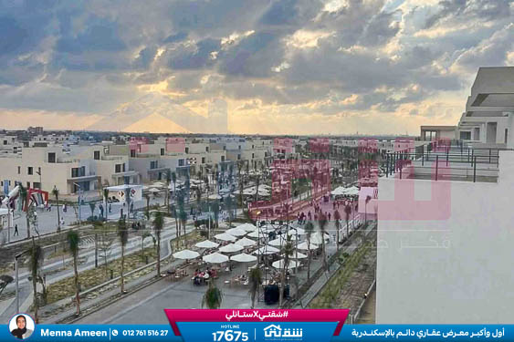 WhatsApp Image 2025-08-20 at 2.51.33 PM