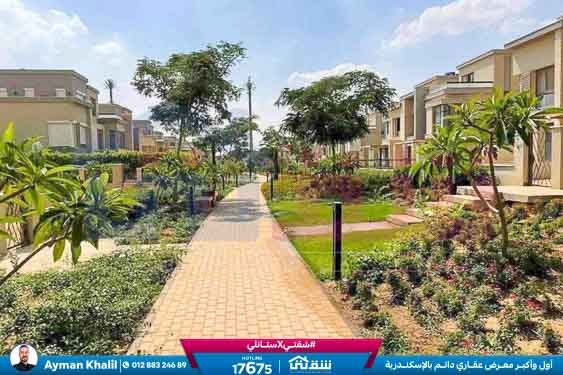 WhatsApp Image 2025-08-20 at 2.51.34 PM