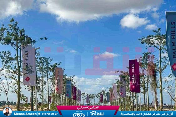 WhatsApp Image 2025-08-20 at 2.51.36 PM