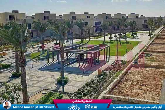 WhatsApp Image 2025-08-20 at 2.51.38 PM