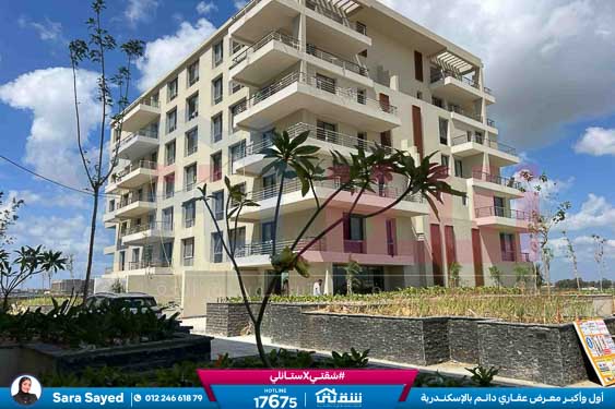 WhatsApp Image 2025-08-24 at 13.39.11_616dfc4c