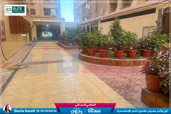 WhatsApp Image 2025-09-01 at 4.46.47 PM