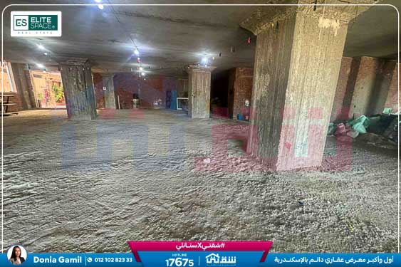 WhatsApp Image 2025-09-01 at 4.46.57 PM