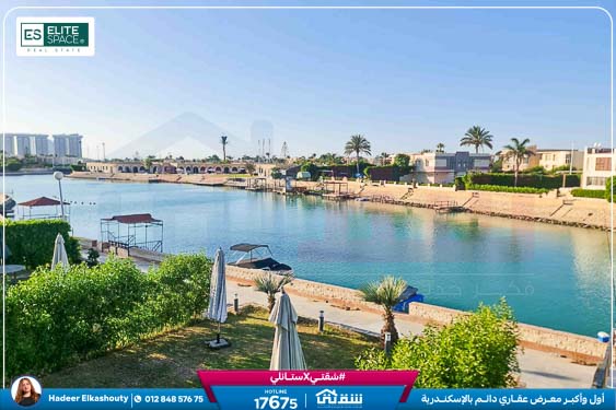 WhatsApp Image 2025-10-04 at 8.47.32 PM