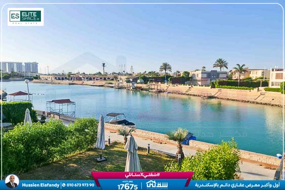 WhatsApp Image 2025-10-04 at 8.47.32 PM