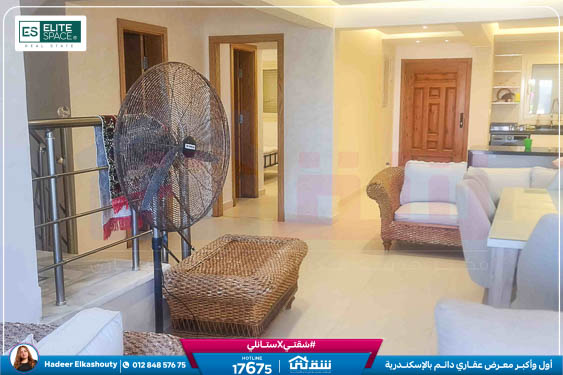 WhatsApp Image 2025-10-04 at 8.47.37 PM