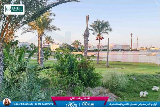 WhatsApp Image 2025-10-04 at 8.52.58 PM (1)