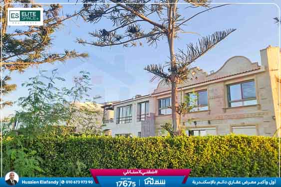 WhatsApp Image 2025-10-04 at 8.52.59 PM (1)