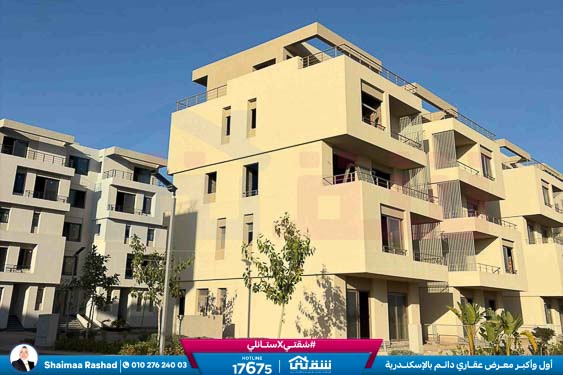 WhatsApp Image 2025-10-28 at 4.51.52 PM