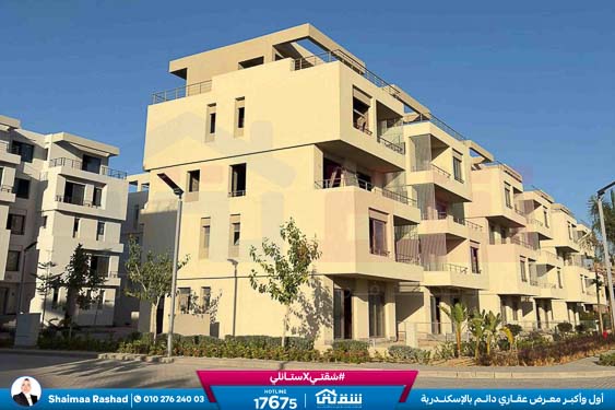 WhatsApp Image 2025-10-28 at 4.53.02 PM