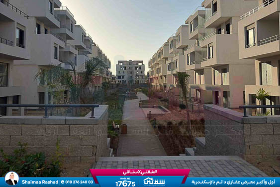 WhatsApp Image 2025-10-28 at 4.53.03 PM