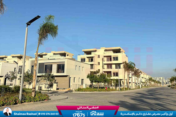 WhatsApp Image 2025-10-28 at 4.53.09 PM