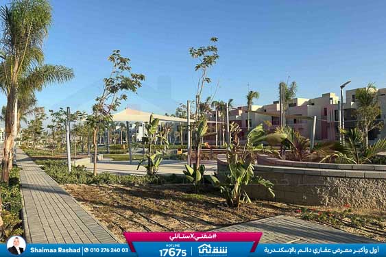 WhatsApp Image 2025-10-28 at 4.53.37 PM